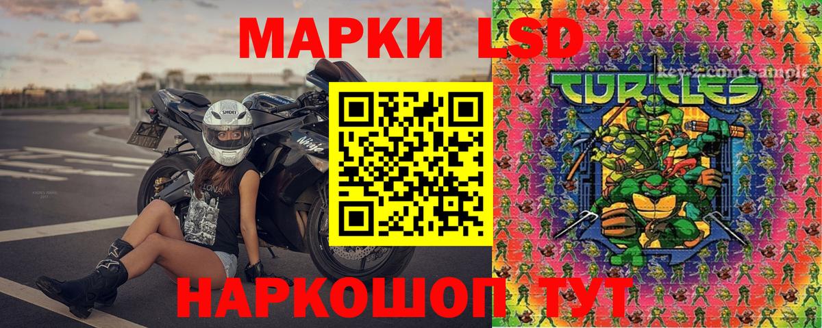 Зеленогорск  Наркотические марки 1,5мг  Вход с VPN 